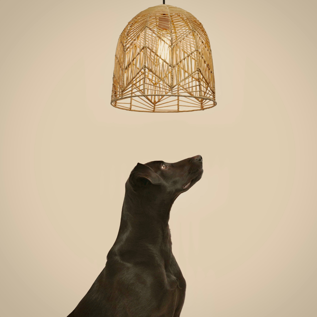 WOVEN PENDANT LIGHTING