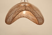 The Teardrop pendant, in varying sizes and finishes
